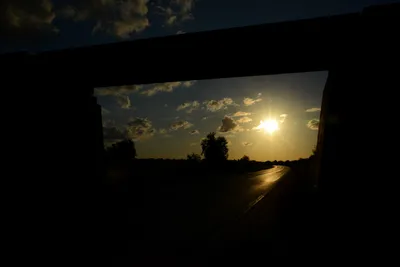 DSC_7832 (Large).JPG